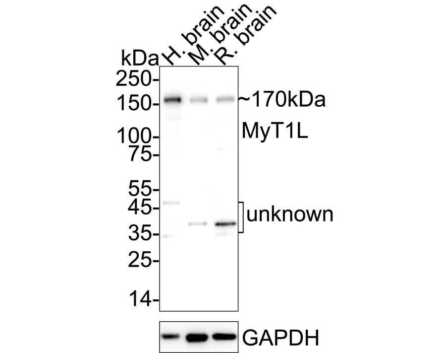 HA723136_3.jpg