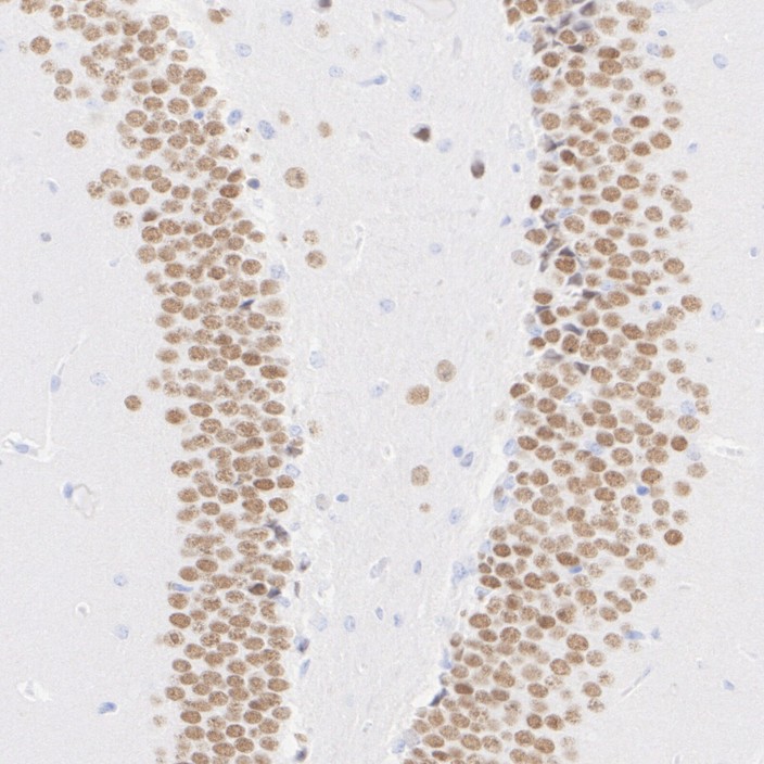 HA723136_5.jpg