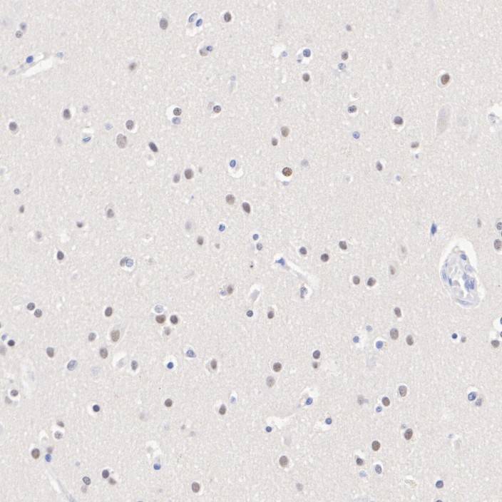 HA723136_9.jpg