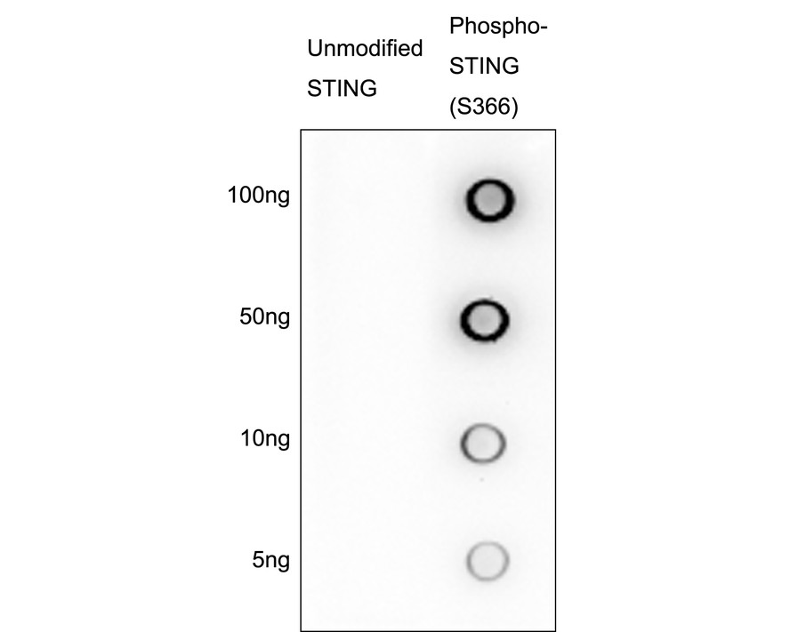 HA723137_2.jpg