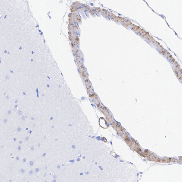 HA723163_6.jpg