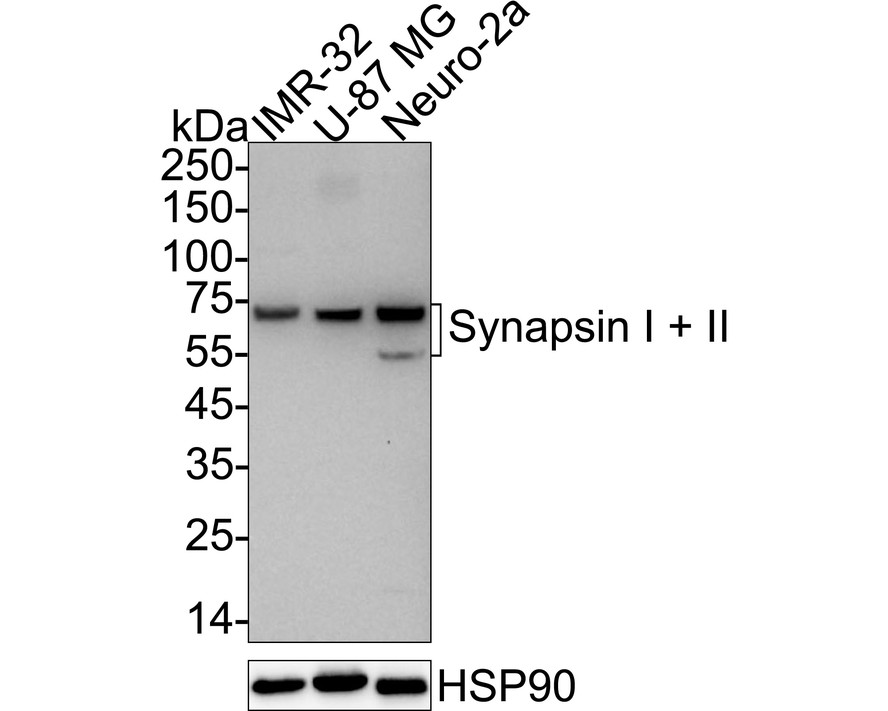 HA723196_14.jpg