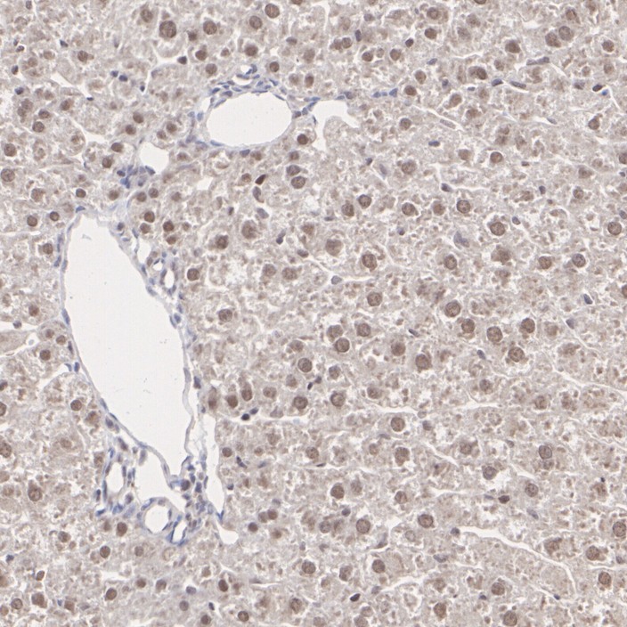 HA723248_7.jpg