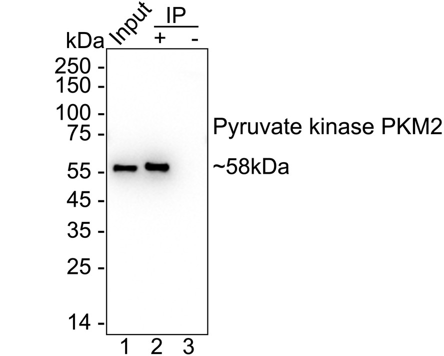 HA723370_20.jpg