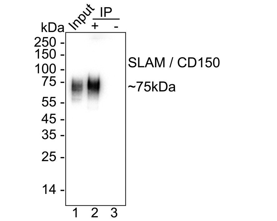 HA723424_2.jpg