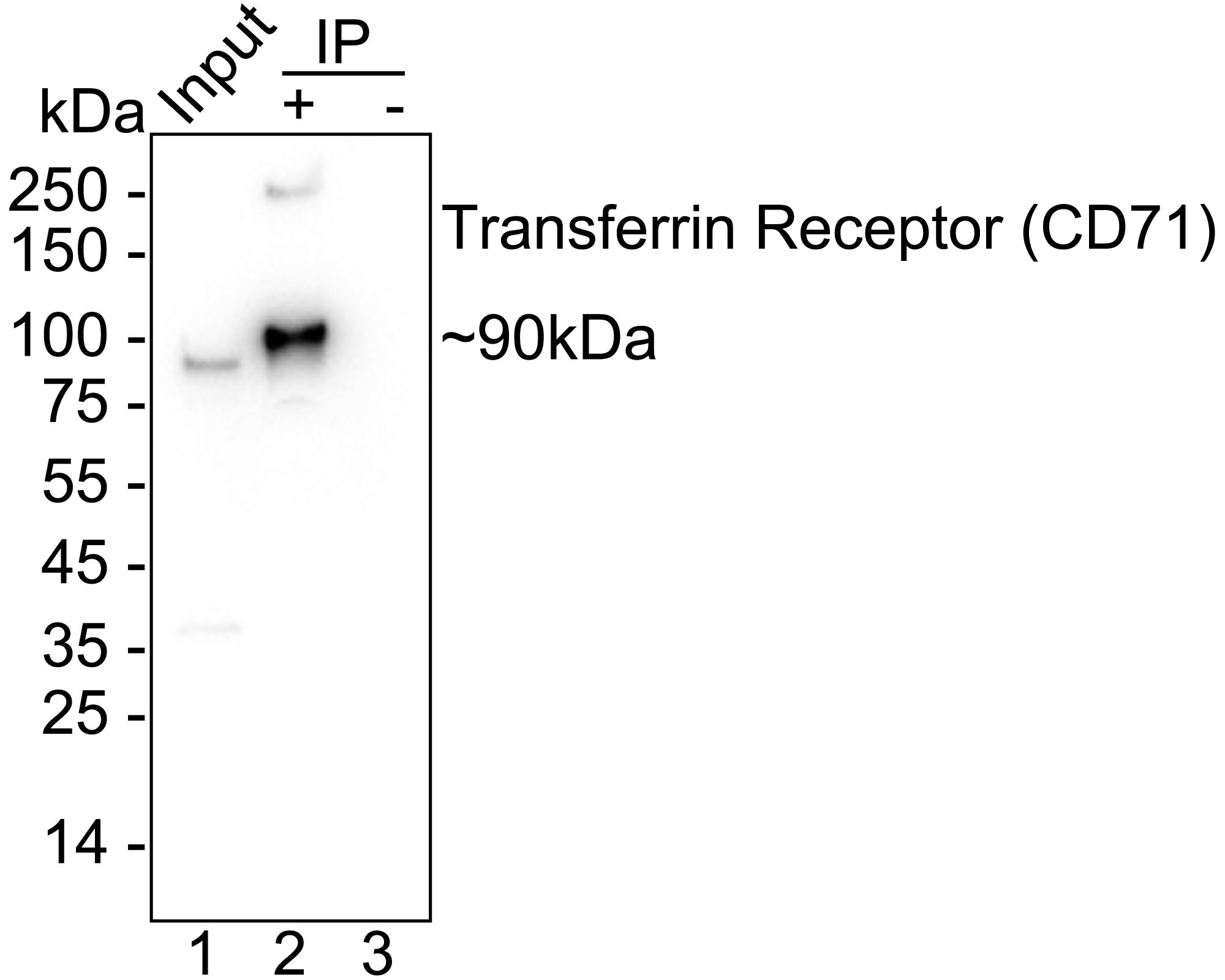 HA723545_10.jpg