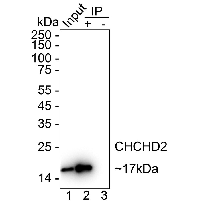 HA723580_4.jpg