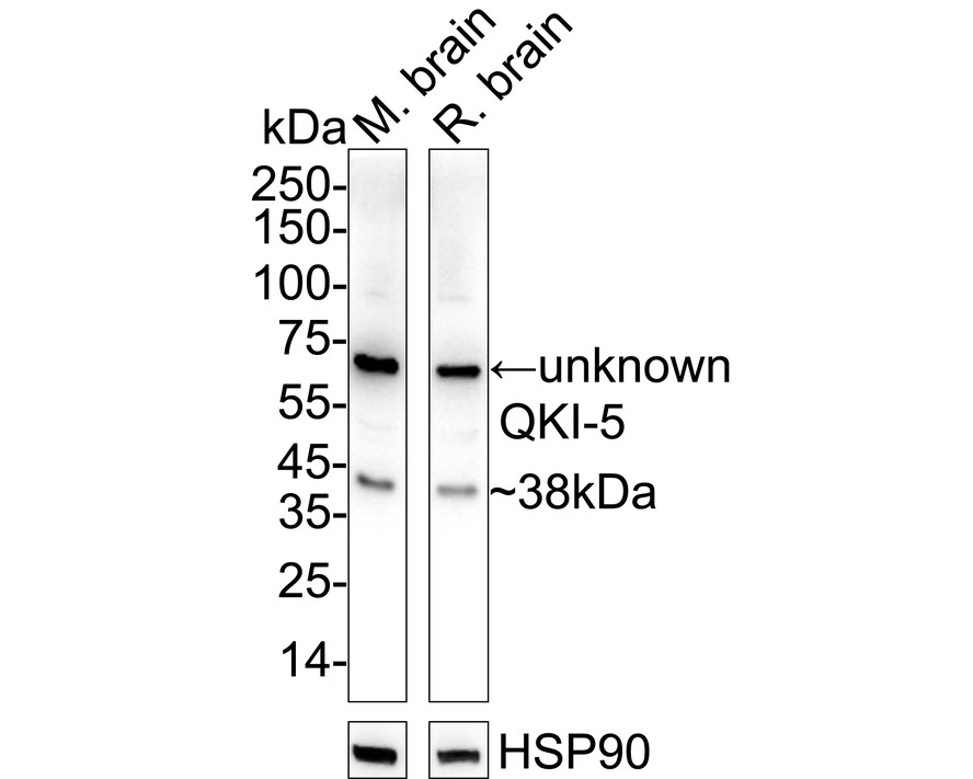 HA723587_6.jpg
