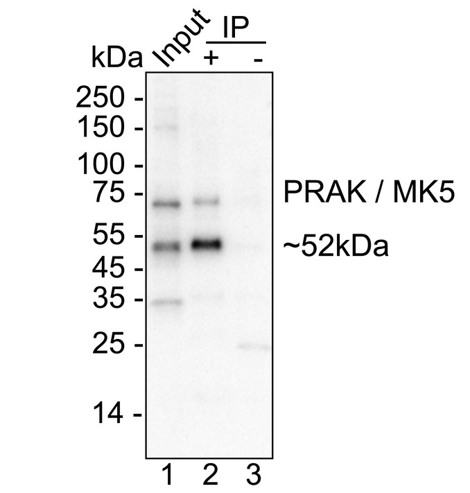 HA723596_2.jpg