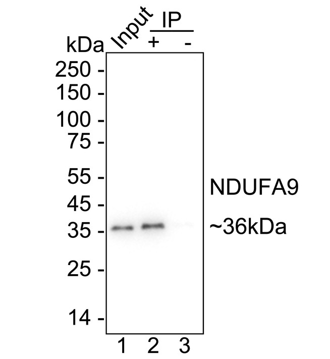 HA723597_6.jpg
