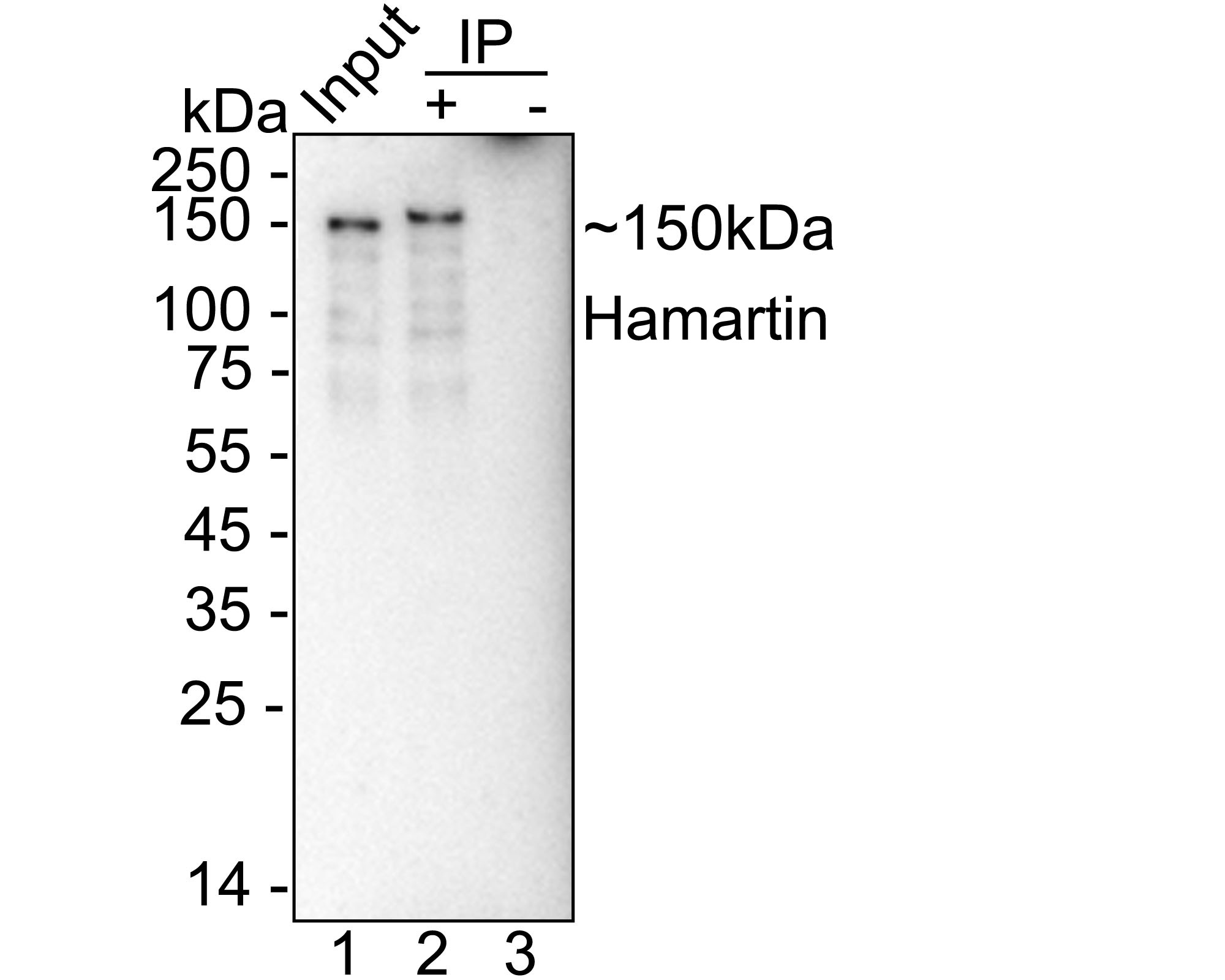 HA723665_2.jpg