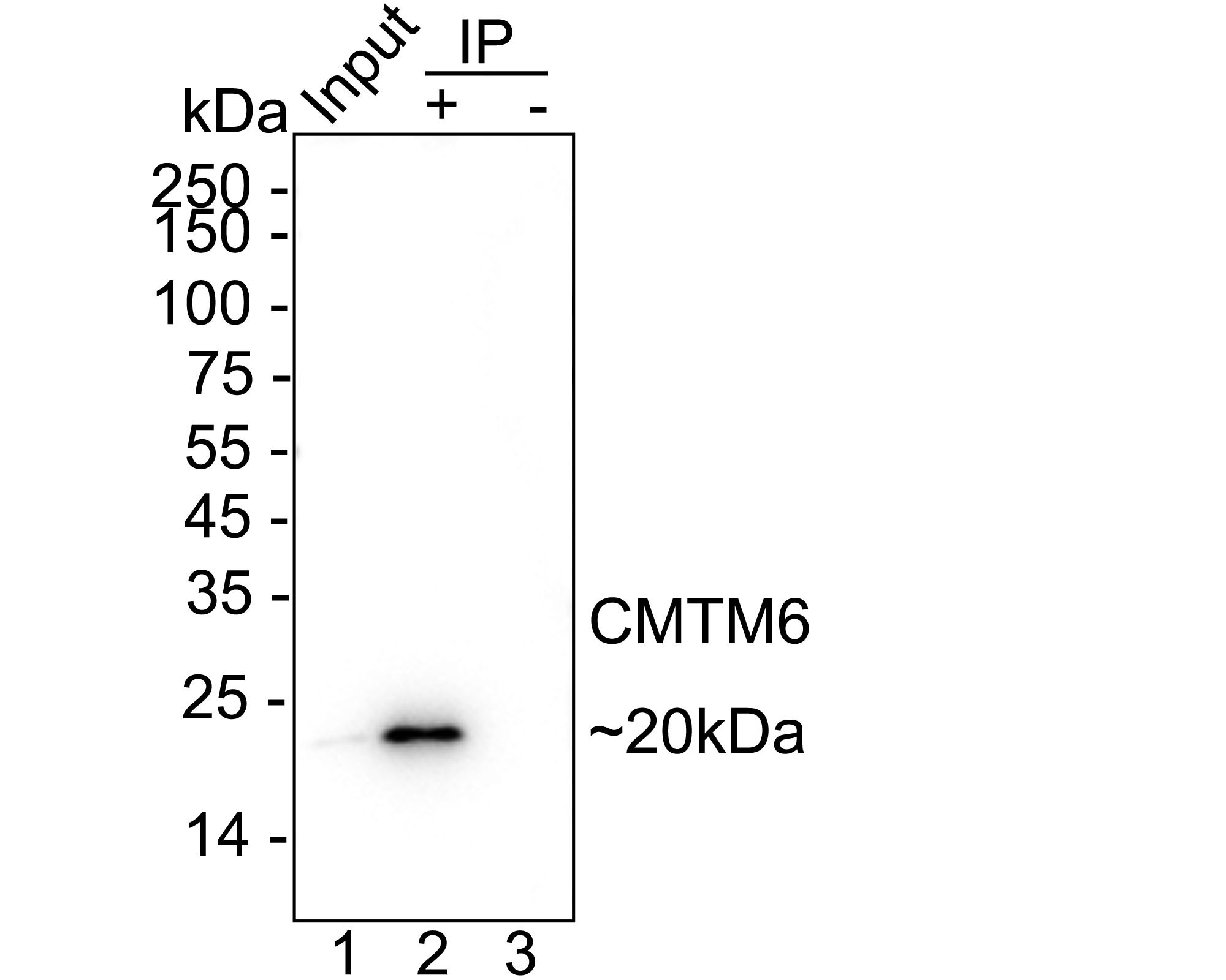 HA723702_2.jpg