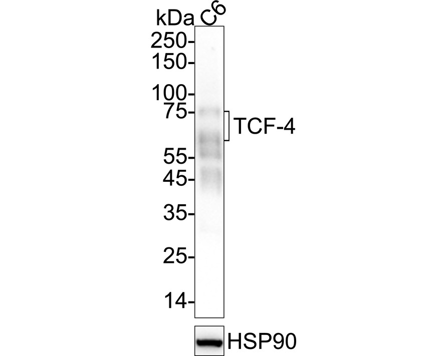 HA723723_2.jpg
