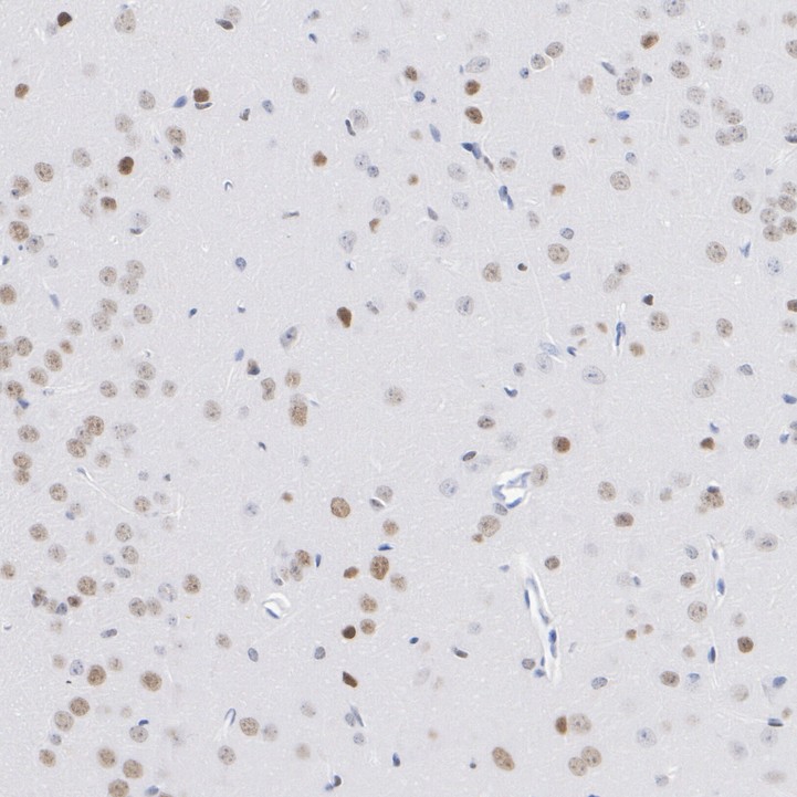 HA723723_6.jpg