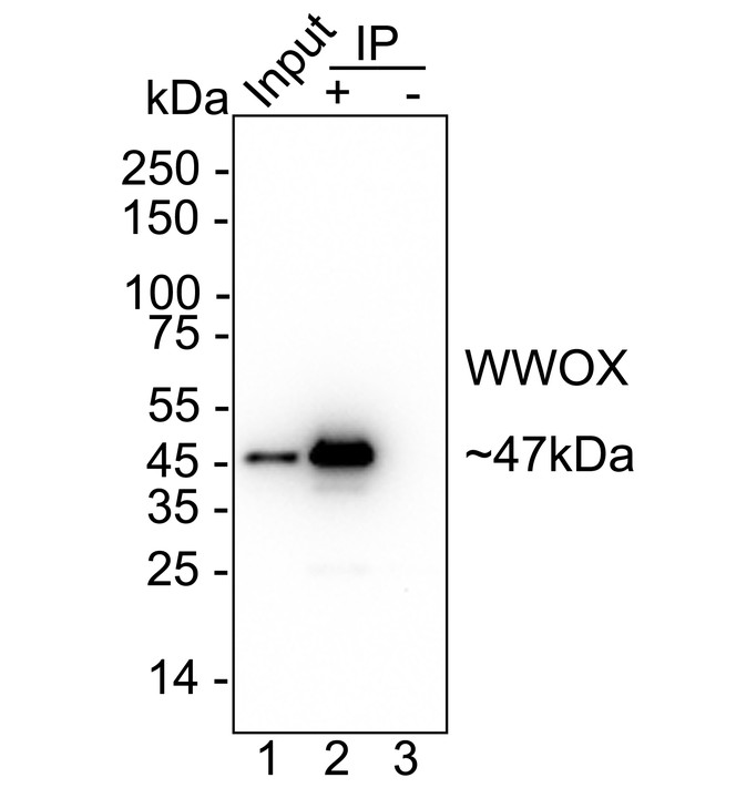 HA723749_3.jpg