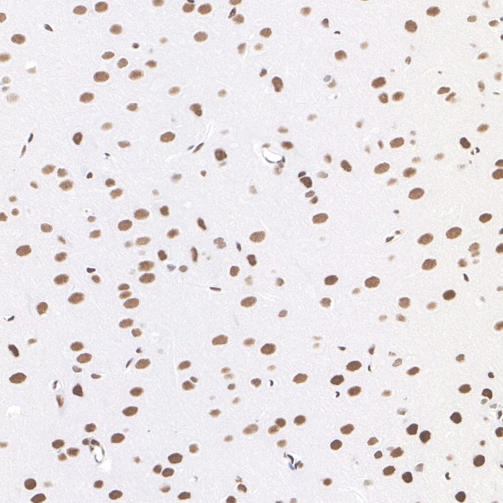 HA723754_7.jpg
