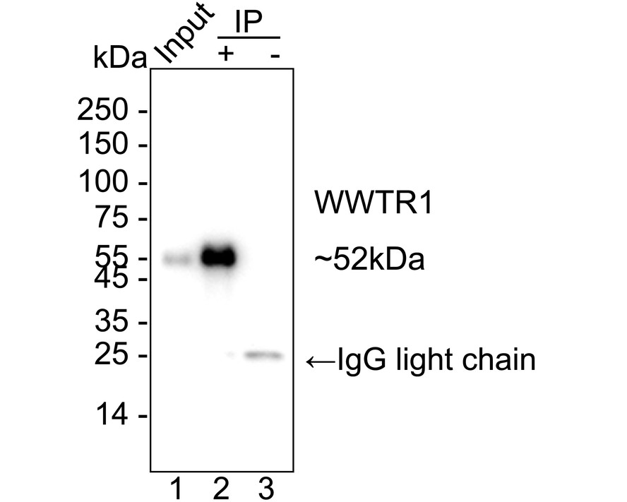 HA723764_3.jpg