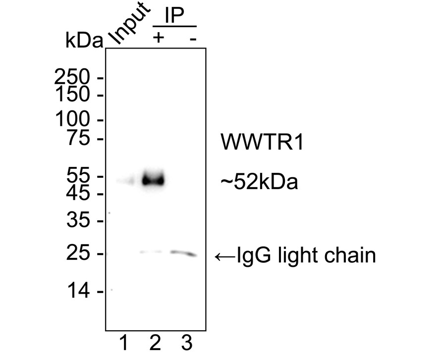 HA723765_10.jpg