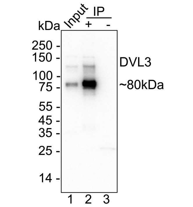 HA723798_2.jpg