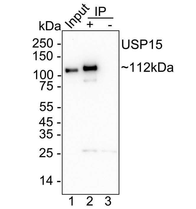 HA723799_6.jpg