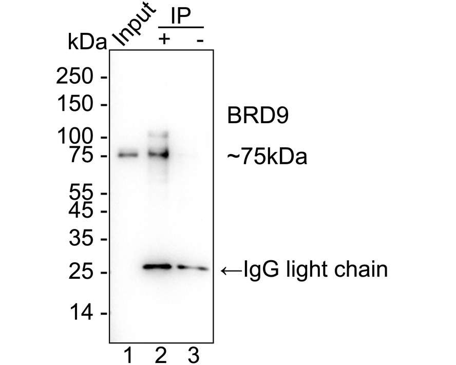 HA723800_7.jpg