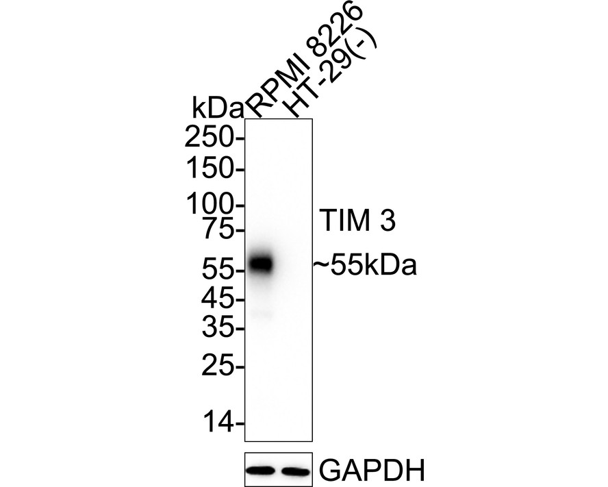 HA723854_1.jpg