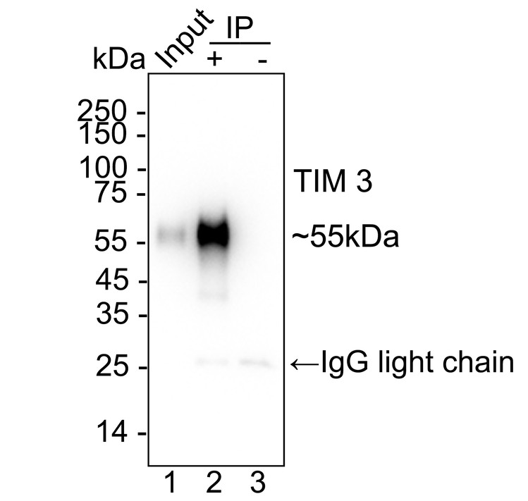 HA723854_6.jpg
