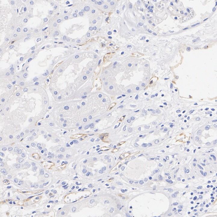 HA723892_5.jpg