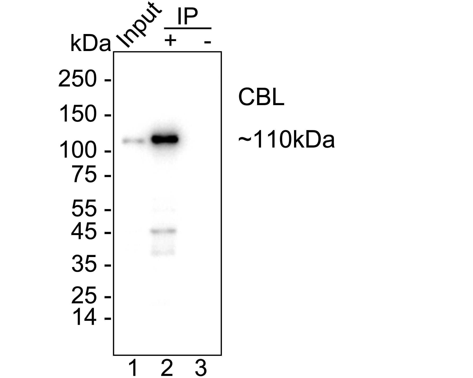HA723936_4.jpg