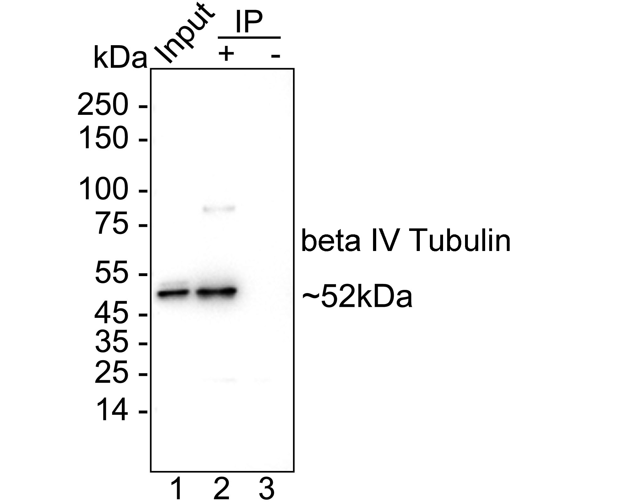 HA723947_12.jpg