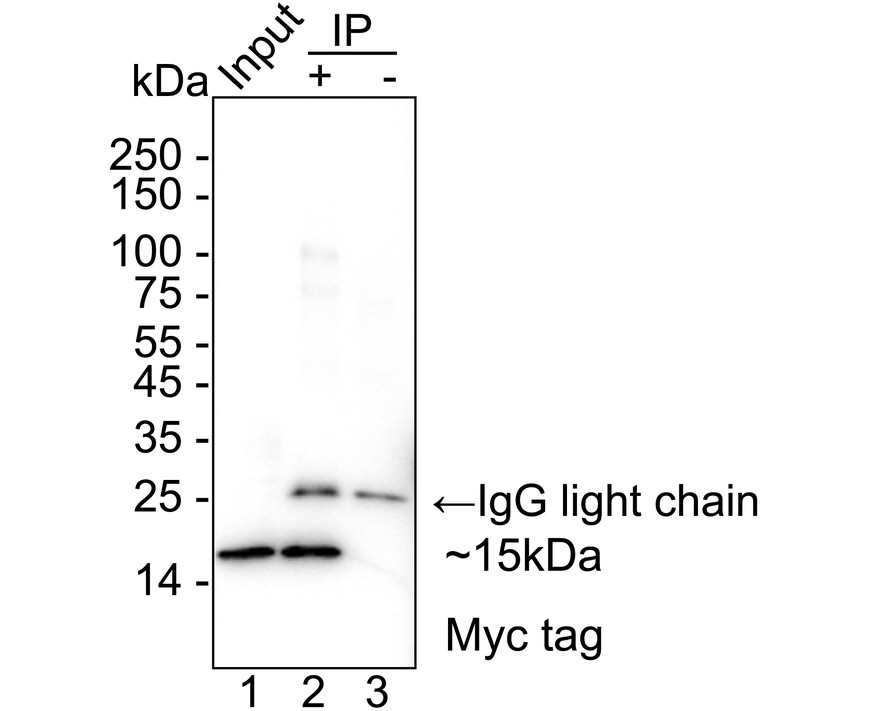 HA723950_6.jpg
