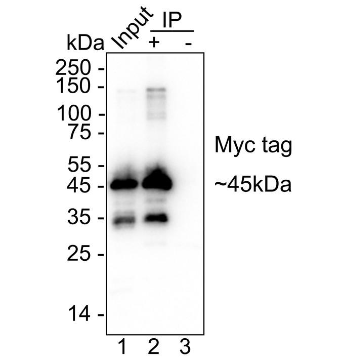 HA723950_7.jpg