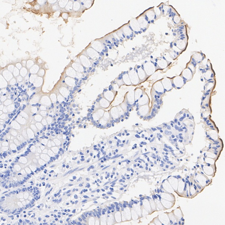 HA723952_1.jpg
