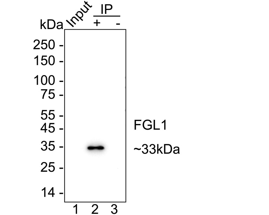 HA723962_2.jpg