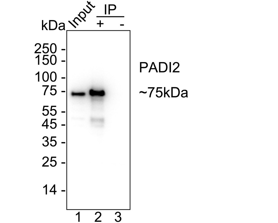 HA723969_4.jpg