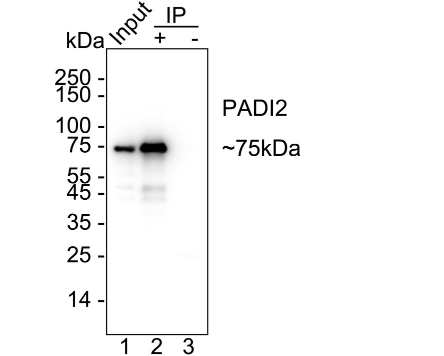 HA723970_2.jpg