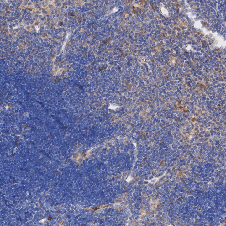 HA723974_2.jpg
