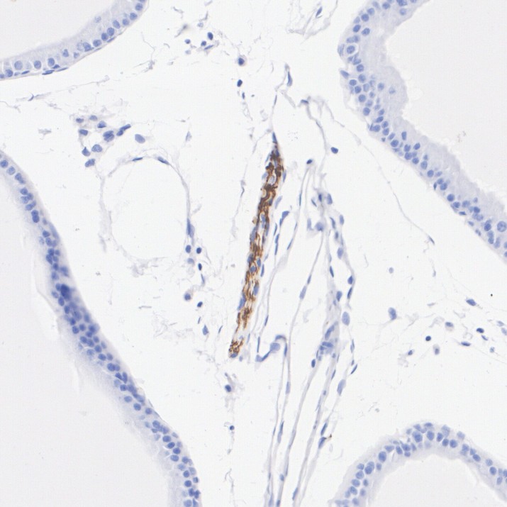 HA723977_13.jpg