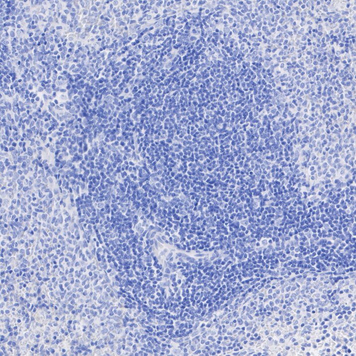 HA723977_15.jpg