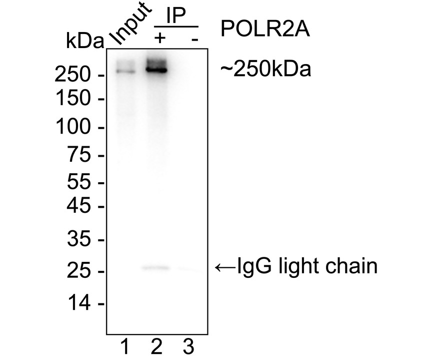 HA723983_12.jpg