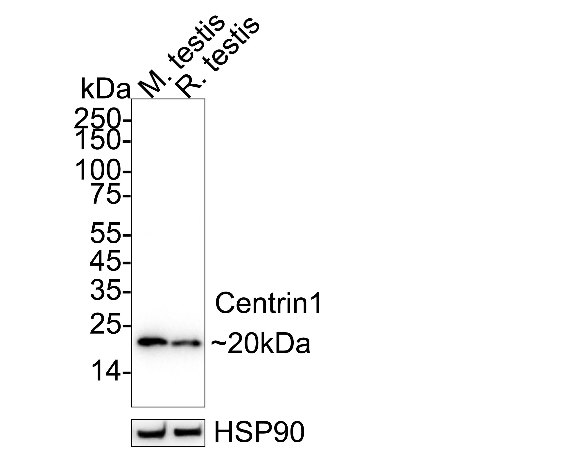 HA724007_1.jpg