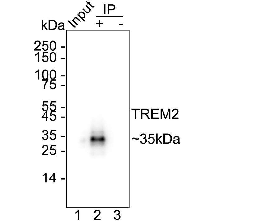 HA724008_2.jpg