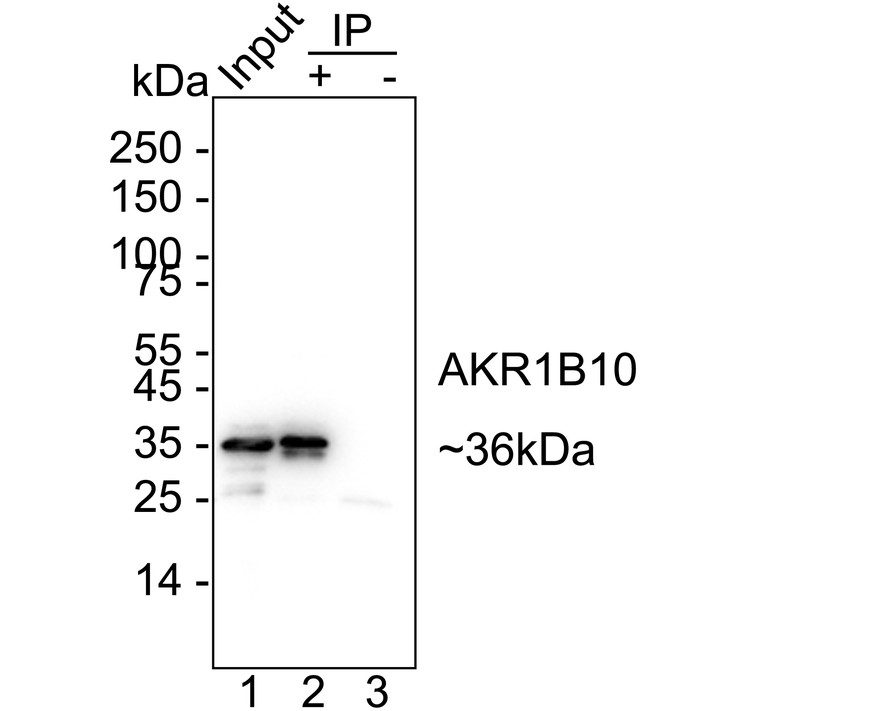 HA724009_3.jpg