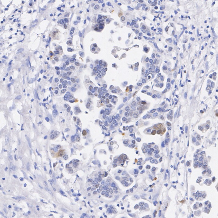 HA724019_3.jpg