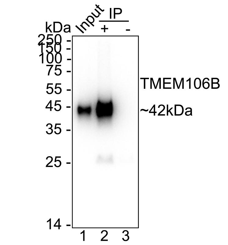 HA724053_8.jpg