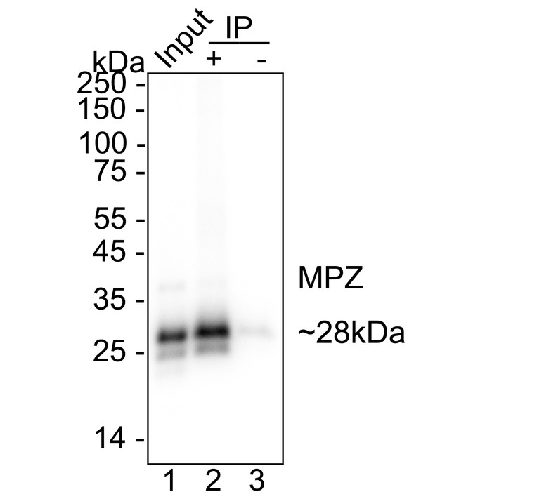 HA724093_6.jpg