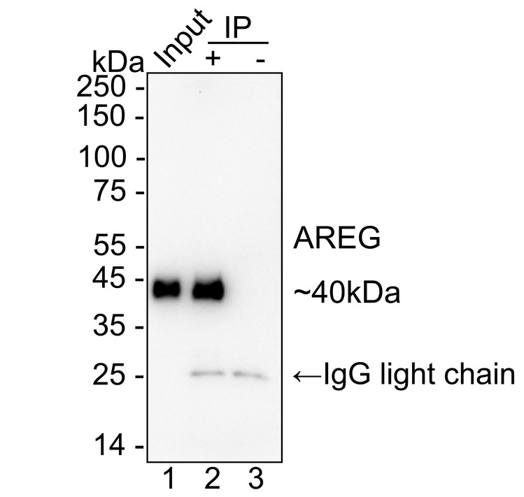 HA724096_4.jpg
