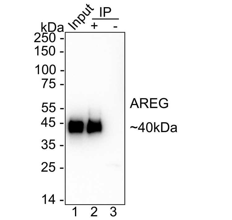 HA724097_5.jpg