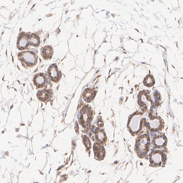 HA724101_10.jpg