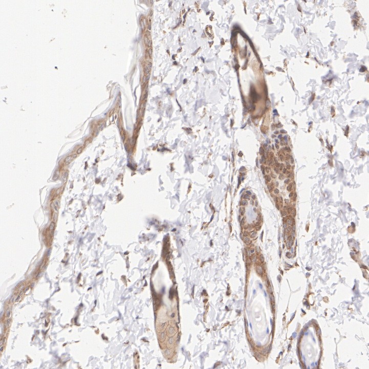 HA724101_13.jpg
